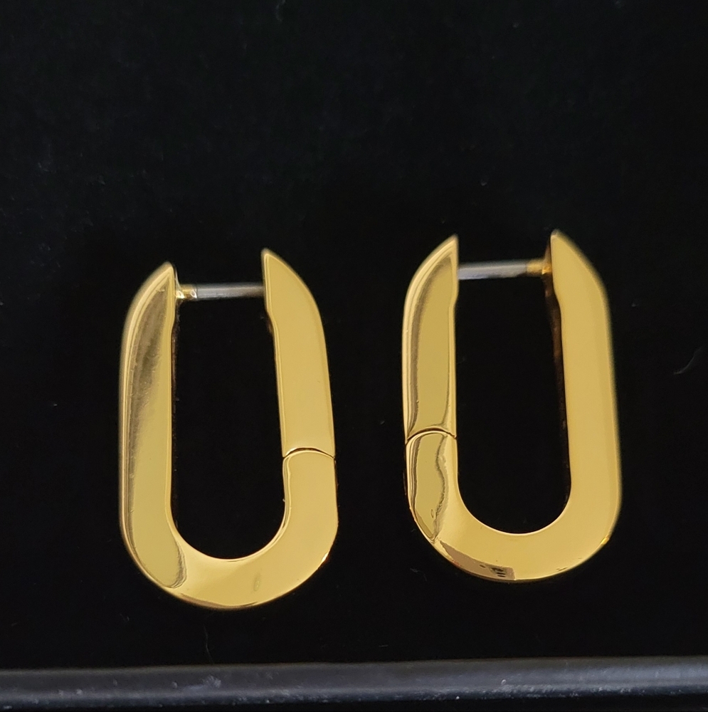 Jenny Bird Gold Hoop Earrings